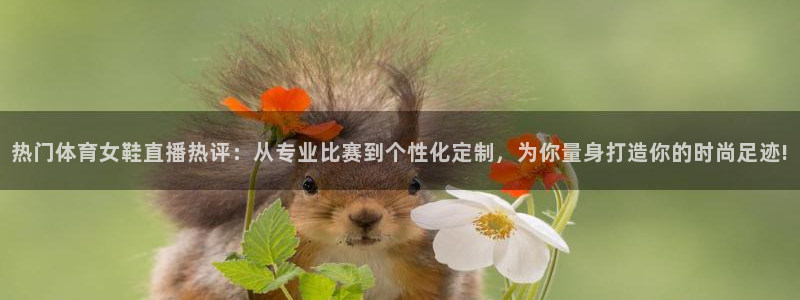pg壹号平台下载安装