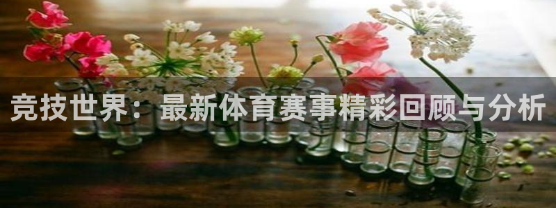 壹号娱乐,com