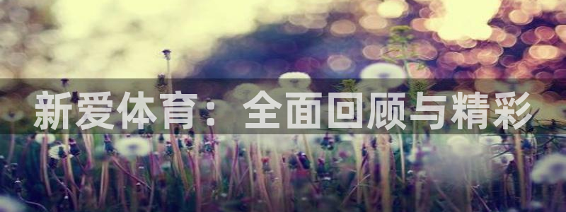 壹号pg电子娱乐