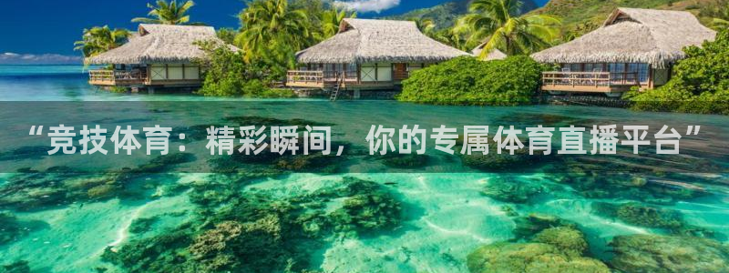 pg壹号娱乐