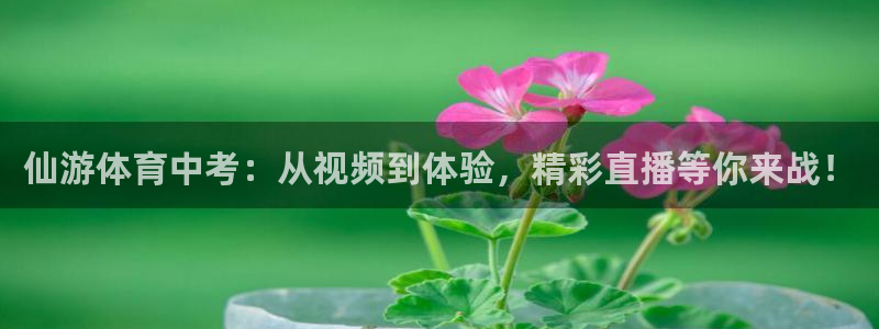 壹号pg娱乐电子游戏