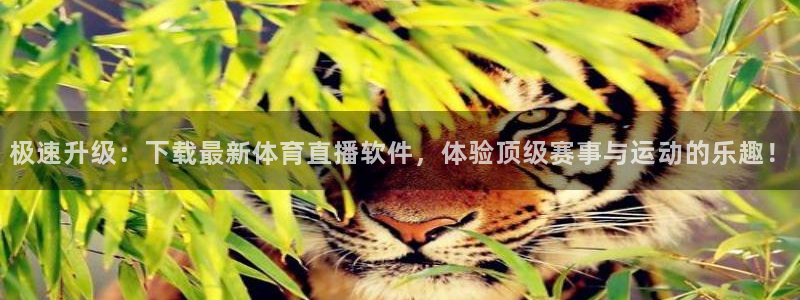 壹号娱乐app