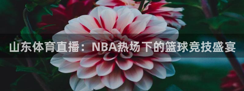 壹号娱乐官方app下载安装