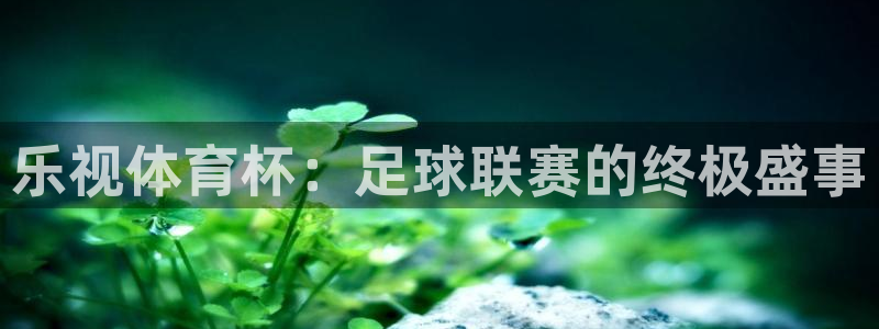 壹号pg娱乐电子游戏
